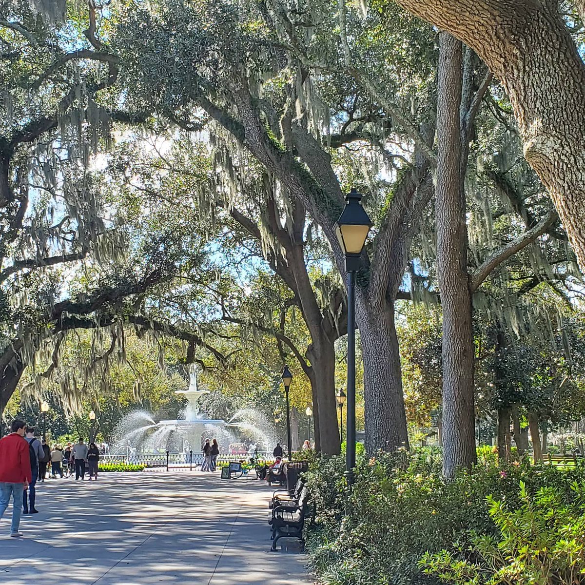 VisitSavannah's tweet image. It's always a good day to stroll through Forsyth Park! [📸: @puggyoo via Instagram]