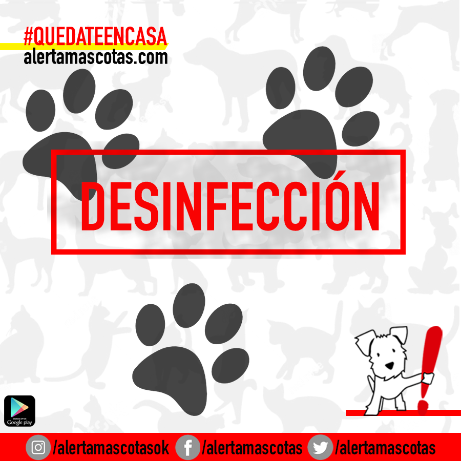 alertamascotas's tweet photo. Alertan sobre el mal uso de los desinfectantes que pueden afectar a nuestras mascotas ‼️.
Además de tener cuidado con los productos que usamos en casa, la intoxicación se puede producir cuando van de paseo. 
Recomendamos siempre lavar sus patas y hocico con agua y jabón 🚰. https://t.co/Vtp3JzTJy2