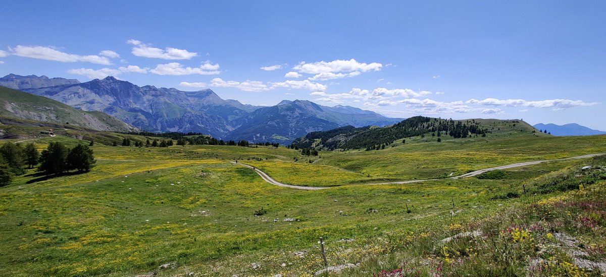 Laurent_Gte's tweet photo. Une belle journée avec des marmottes et Vauban 😬
#ColdAllos #ColDesChamps #Entrevaux #N202 #RouteNapoléon 
(et la ligne des pignes longée au retour 🚂) https://t.co/1GbQPu9lET