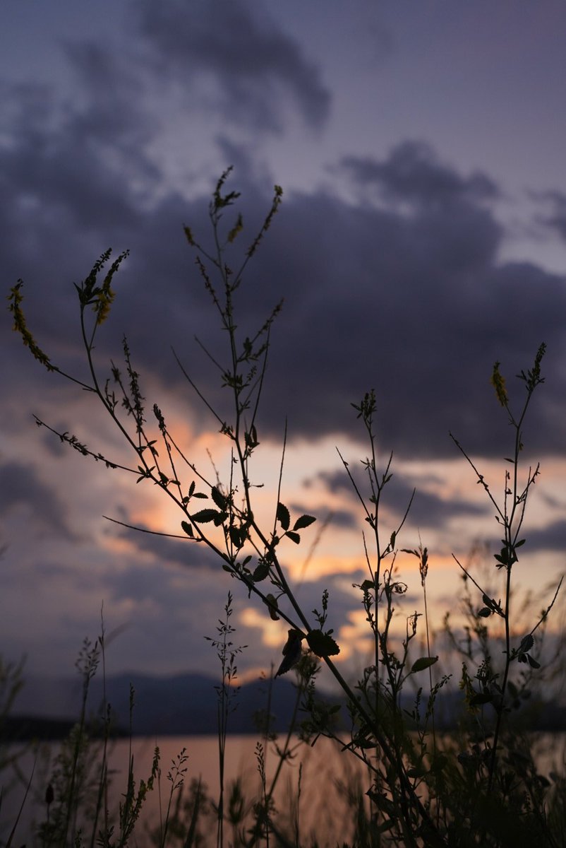 A couple unedited images from the other night while shooting #sunset at the #AshokanReservoir. I had a chance to rent the #sonya7iii for the weekend and I wasn't disappointed.