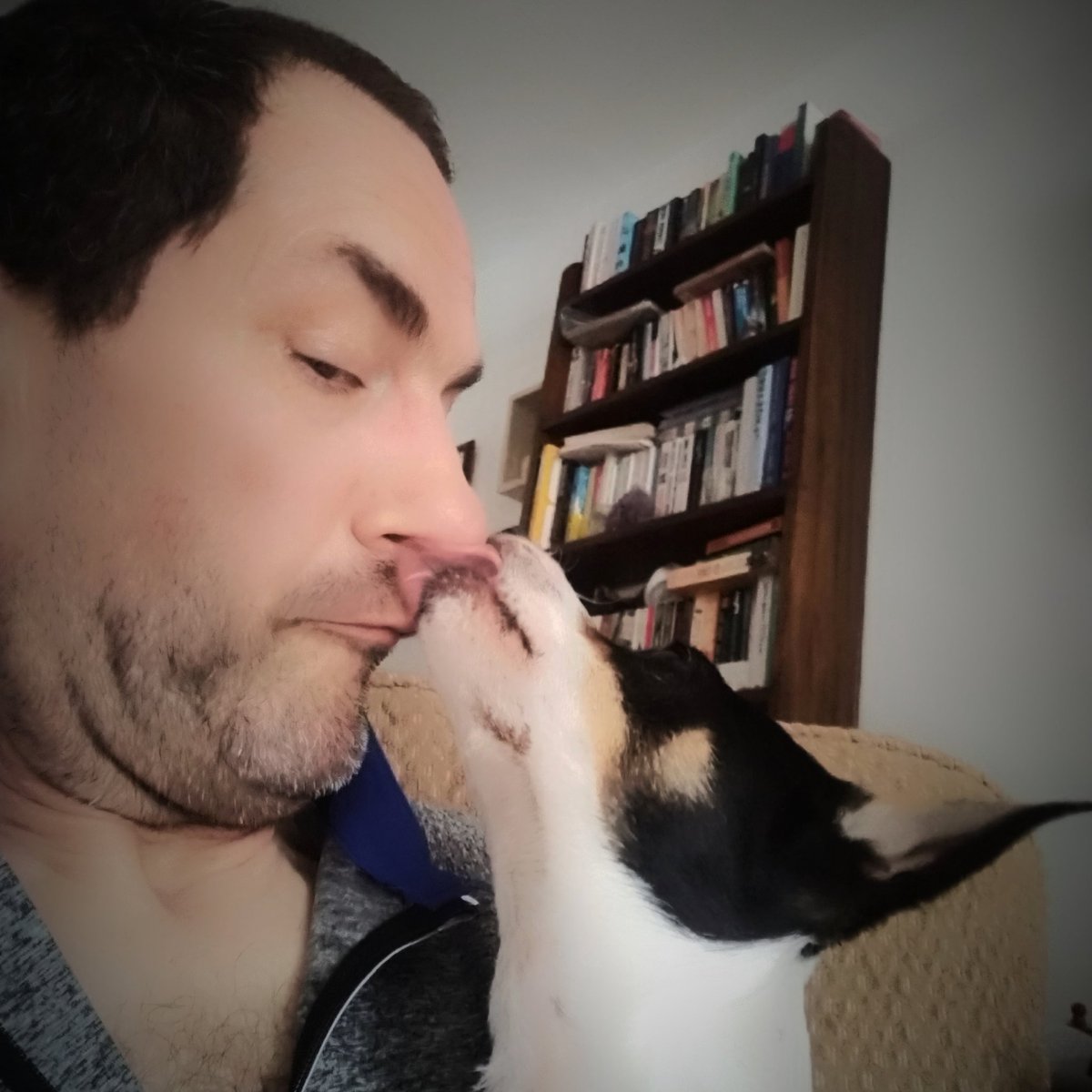 SJackahuahua's tweet photo. I clin daddees snoot

#dogstagram #DogsOfInstagram #dogsoftwitter #dogs #petsofinstagram #pets #petsoftwitter #jackstagram #jacksofinstagram #daviesvetspecialists #acornvetshospital #poorlypooch #crowdfund #crowdfunder #crowdfunding
#weratedogs

https://t.co/99t9eTfPVa https://t.co/4P65oC27oo