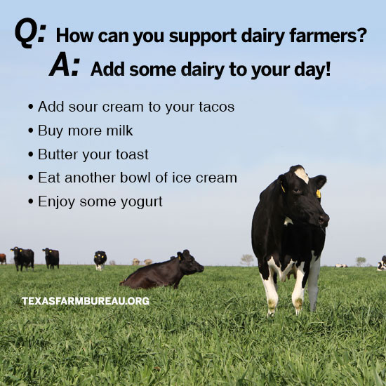 TexasFarmBureau's tweet photo. June is National Dairy Month! Celebrate the contributions of Texas dairy farmers by eating and drinking dairy products!
Get the scoop on some "dairy" fun facts and info on #TxTableTop: https://t.co/2183eKIJM0 https://t.co/zepMdEUkTF