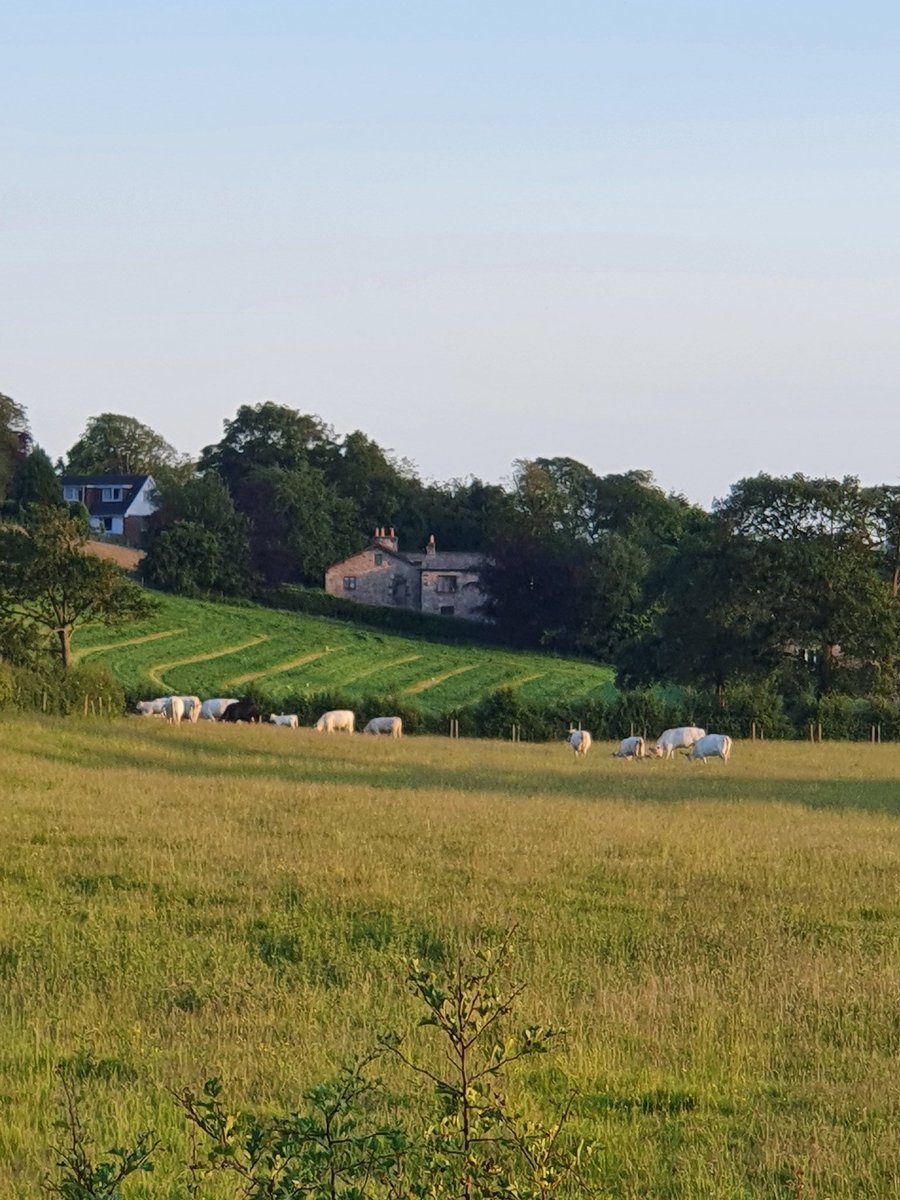 claretwiggpeckh's tweet photo. Not bad views to be had during and after an evening #BigGPConversation with @UHMBT and @MorecambeBayCCG colleagues #advocating4paediatrics #collaborativeworking #ResetRestoreRecover #PositiveApproachNeeded #AllowedOut2Morrow https://t.co/nc2qoixM3J