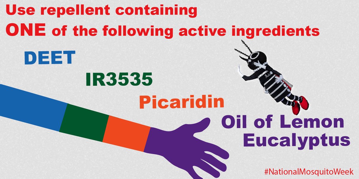 #FighttheBite If it’s too hot to wear long sleeves and pants, be sure to apply insect repellent containing <a href="/EPA/">U.S. EPA</a>-registered active ingredients! Or I will find you! #NationalMosquitoWeek 🦟👀💅
bit.ly/2tIJyLl