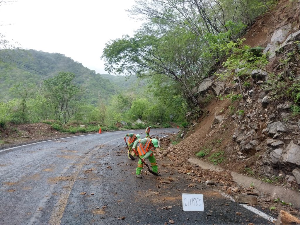 SalvaFdezAyala's tweet photo. @SCT_mx #sismooaxaca Red Federal  Carretera libre de peaje presenta derrumbes aislados en #Oaxaca sobre carretera a Tehuantepec. Cuadrillas de #ConservarEsPreservar y maquinaria están en el lugar efectuando retiro de material en corona del camino 👷‍♂️🚜 https://t.co/Lgv2pXwrP7