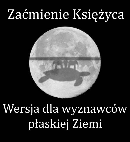 totylkoteoria's tweet photo. https://t.co/QJwkM9Rltw