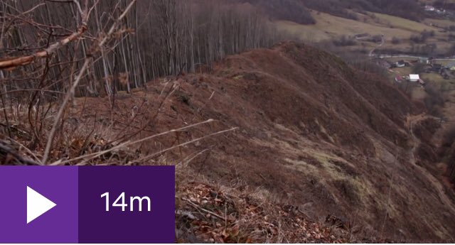 Investigation: Thousands of trees illegally felled to build IKEA’s flat pack empire channel4.com/news/investiga…