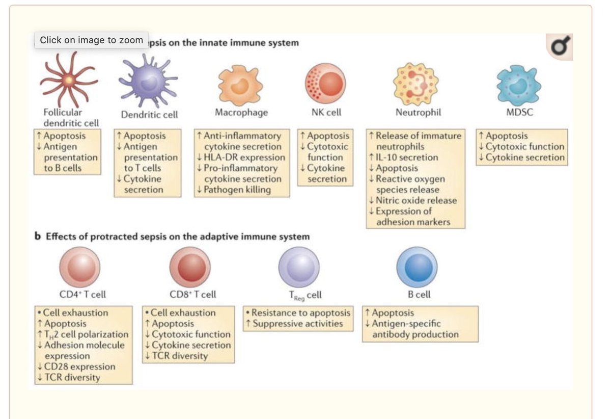 For someone who has spent the last 13 odd years researching the immunoparetic effects of critical illness, and showing the impact of this on secondary infections, this is a little hard to square with my work and that of others in the field -review linked https://pubmed.ncbi.nlm.nih.gov/24232462/ 