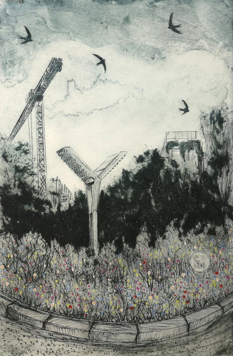 LynnBaileyPrint's tweet photo. Couldn't resist adding a little splatter of wild flowers to my image for #Riddle57 project with @DoubleElephant. I am depicting the Swift Tower on the wild flower strewn roundabout looked after by #ExeterWildCity #GottaPrintThroughThis #drypoint #swifts #swifttower #exeterbook https://t.co/7ZHlh7bK5A