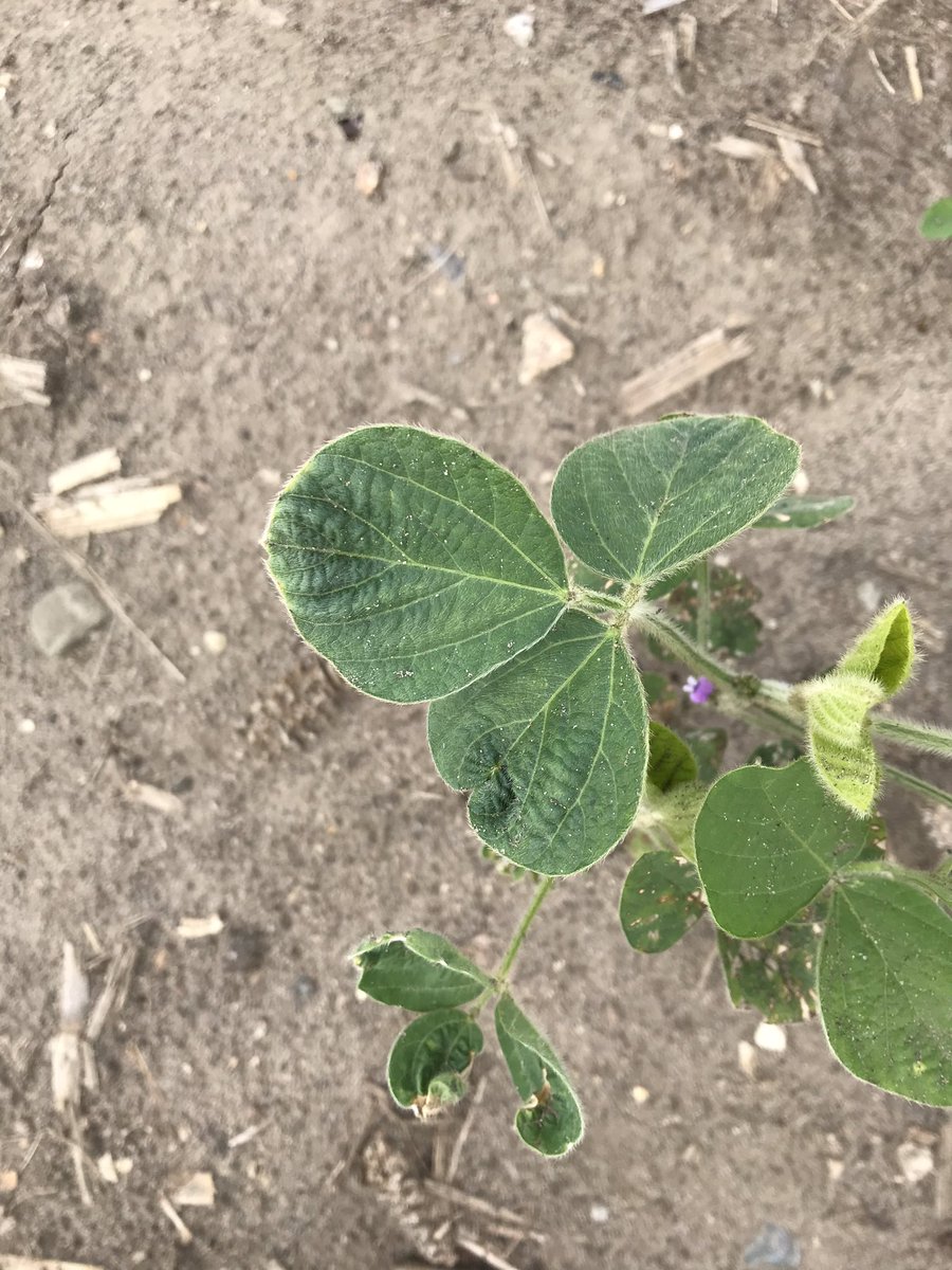 Meaghan Anderson tweet media