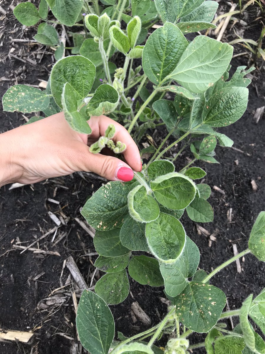 Meaghan Anderson tweet media