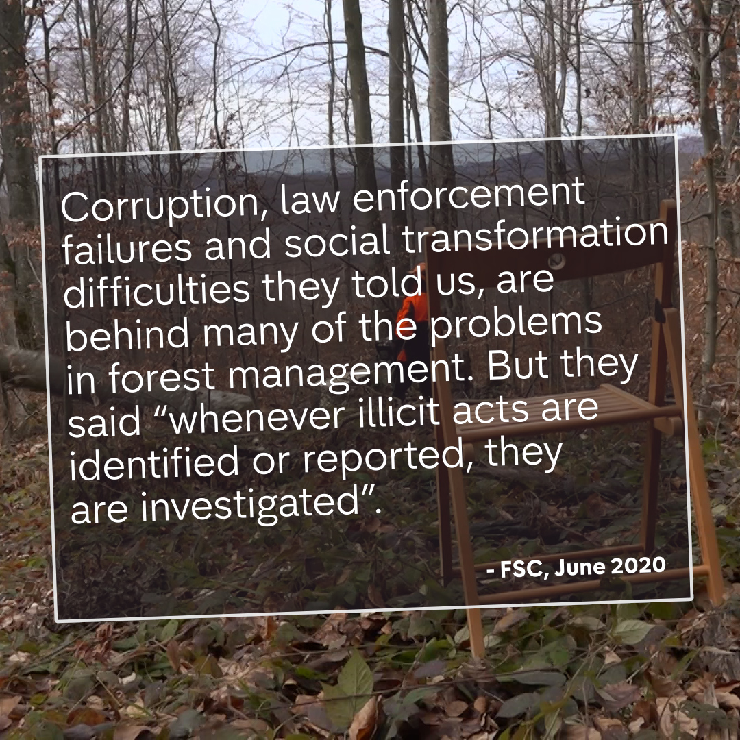 The Forest Stewardship Council (FSC) told us they were “fully aware” of problems in Ukraine: