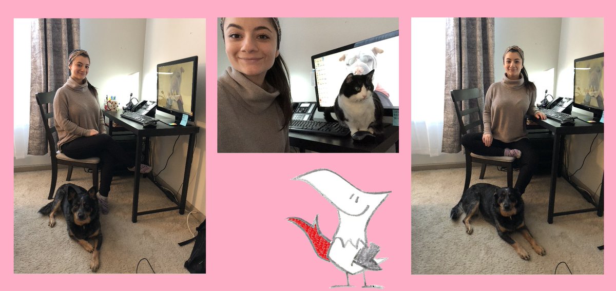 CI_LLC's tweet image. Guardian swooped in on Melina to see how she is doing this week. She is being kept company by her dog, Nala, and cat, Brooklyn. Melina has been cat-sitting Brooklyn during quarantine for her family. Nothing like a temporary kitty to make quarantine puurfffect!