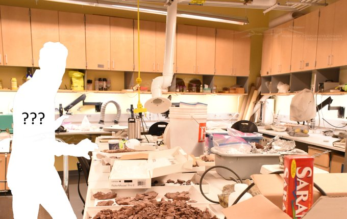 MCZpaleo's tweet image. JOB ALERT!!! @MCZHarvard #mczvertpaleo&apos;s search for a Vertebrate Paleontology Fossil Preparator is back on!!! We are super excited to add to our dynamic #paleo team! Love #fossils and got the #skills? Apply here: sjobs.brassring.com/TGnewUI/Search…