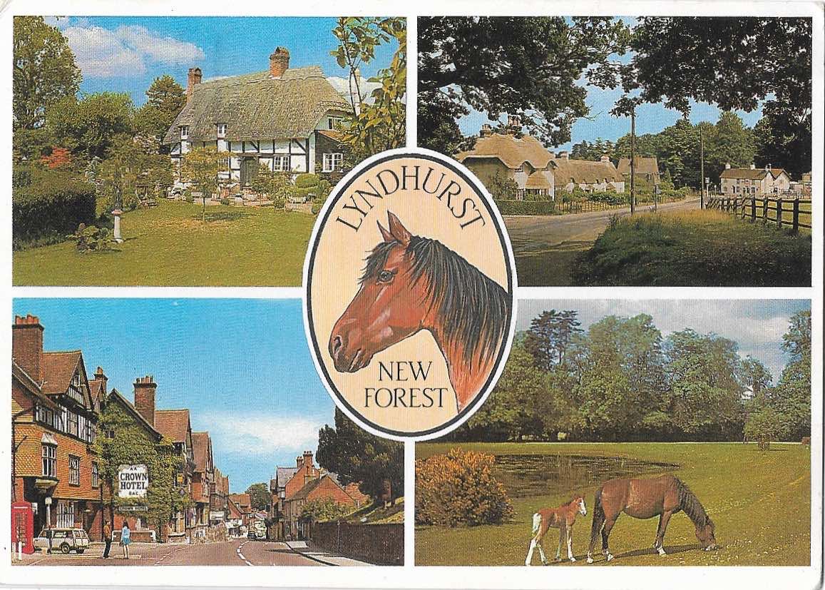 PastPostcard's tweet photo. We're camping in the New Forest there are wild ponies and squirrels everywhere. But you must not feed them or they break into your tent. https://t.co/rhFOKPhvI3