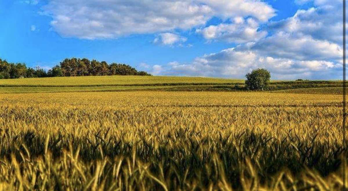 MaudouxPierre's tweet photo. L’agriculture sur notre territoire..Les métiers du futur⤵️

https://t.co/1gO96sV0M1 https://t.co/tXCwmn7ggh