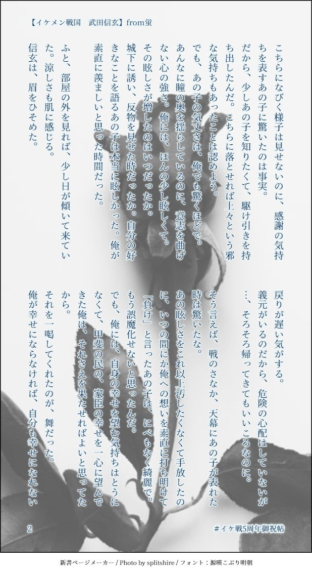 イケ戦5周年御祝帖 Min T ミント