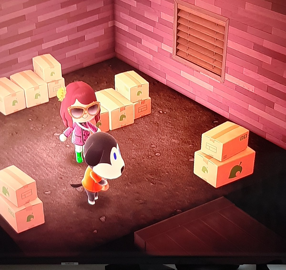 136Fer's tweet image. Tengo a Miki en cajas listo y deseoso de encontrar una isla donde se coma muy bien!! 
#AnimalCrossing
#ACNH 
#Miky
#AnimalCrossingturnips