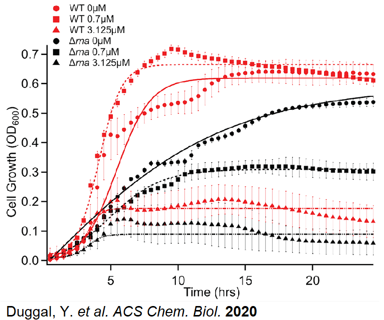 We tested how bacteria respond by treating the cells with increasing concentrations of copper sulfate and measured their growth over time. We found that one of our strains (in black) was more sensitive to copper treatment compared to the wild type E. coli strain (in red).