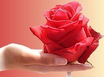 اينما حل النقاء .والنور .والورد .والحياة في ذلك القدر
الماهول  تجدني..