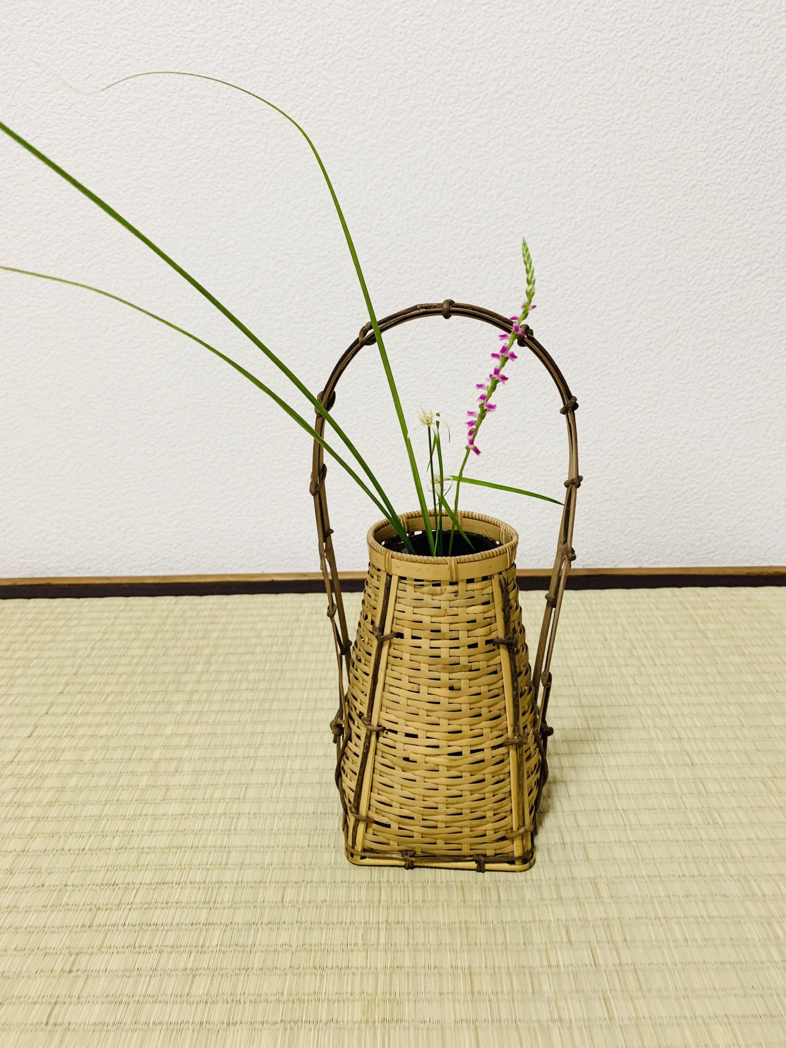 表千家茶道 池田教室 6月 茶花 ネジバナ シラサギカヤツリ 糸ススキ 花入 長宗全籠 自粛中に庭に植えたネジバナが 咲きました ネジバナ フォルムがかわいいお花です 茶道教室 着付け教室 表千家 茶道 茶花 山野草 T Co 2x7del4vsq