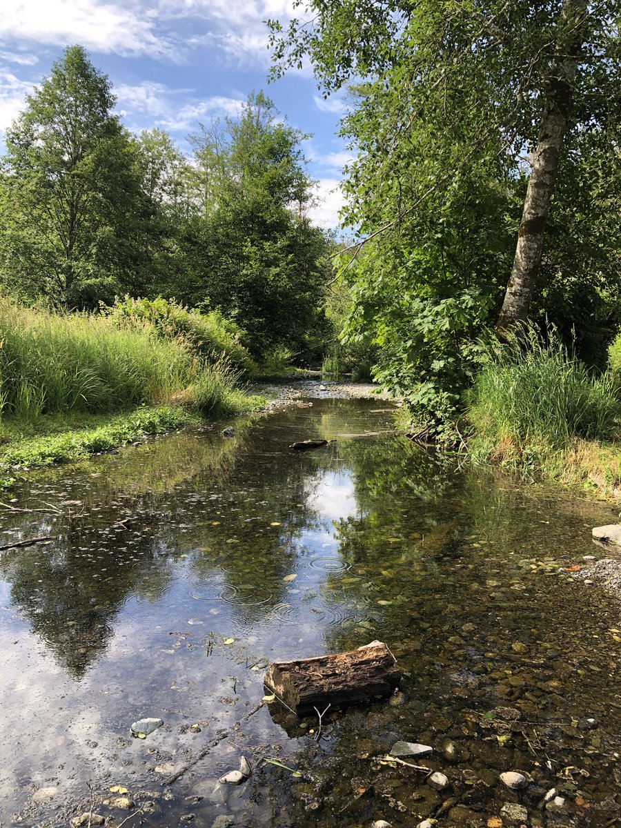 nycoleodeon's tweet photo. Nothing beats an early morning walk in Goldstream https://t.co/hJurHQi6l2