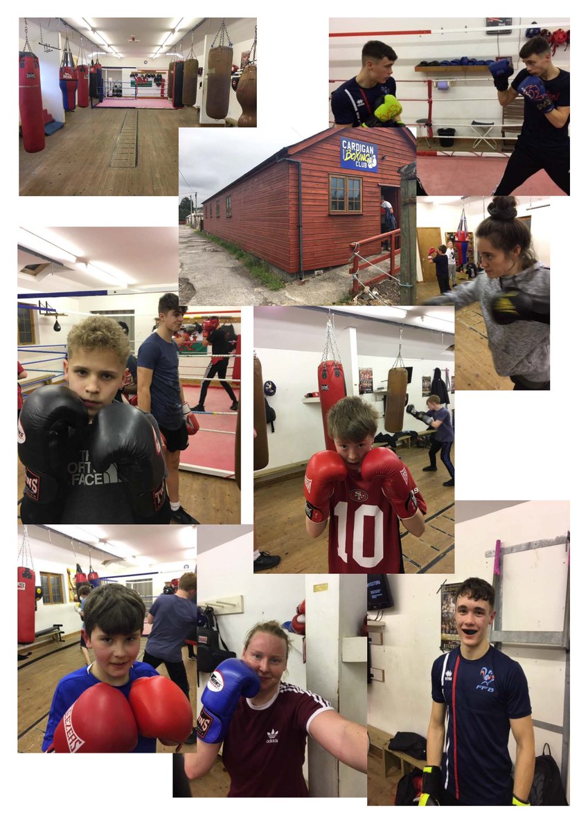 Dirk den Hartog tweet media