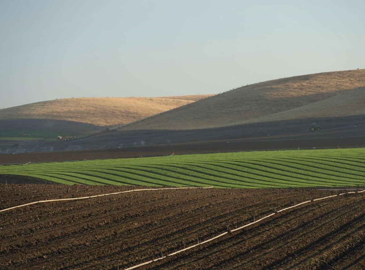 earthboundfarm's tweet photo. Organic agriculture reverses climate change by pulling carbon out of the air and returning it to the soil in ways that non-organic farming doesn't. Learn more on the blog: https://t.co/EuVQexFR6B

#EarthboundFarm #OrganicFood #OrganicFarming #ClimateChange #FoodToLiveBy https://t.co/AwxA2r28jd