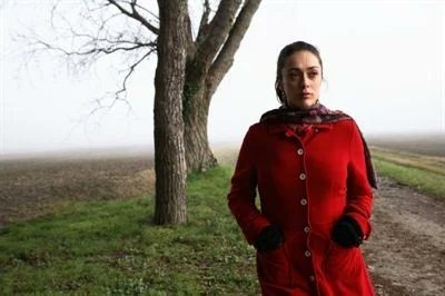 Corradino Janigro tweet media