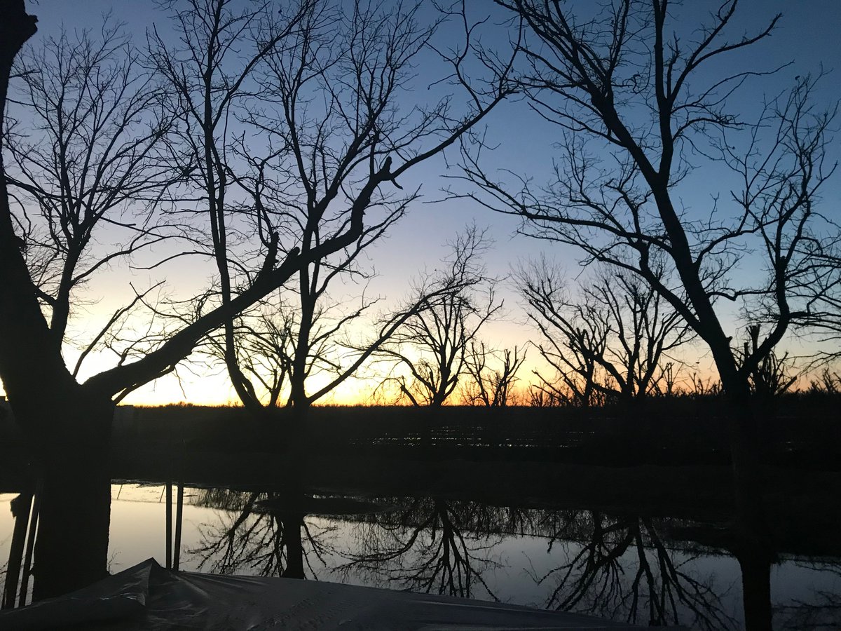 Sonic Ranch tweet media