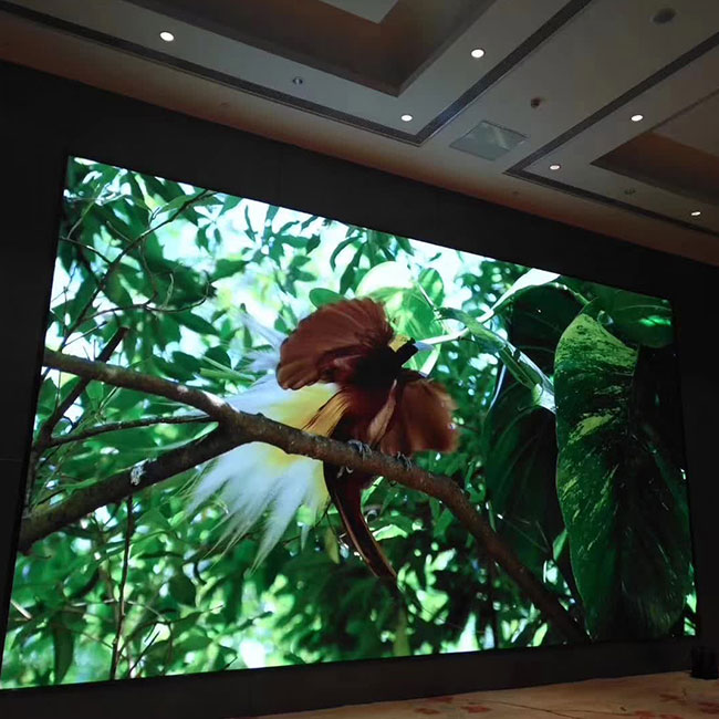 hjyleddisplay's tweet image. High resolution P2.5 indoor full color led display is one of the many unique and innovative products Haojingyuan has initiated for its clients. hjyleddisplay.com/high-resolutio… #fixedledpanel #outdoorfixedledscreen