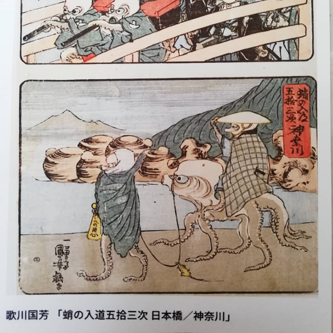 蛸入道
