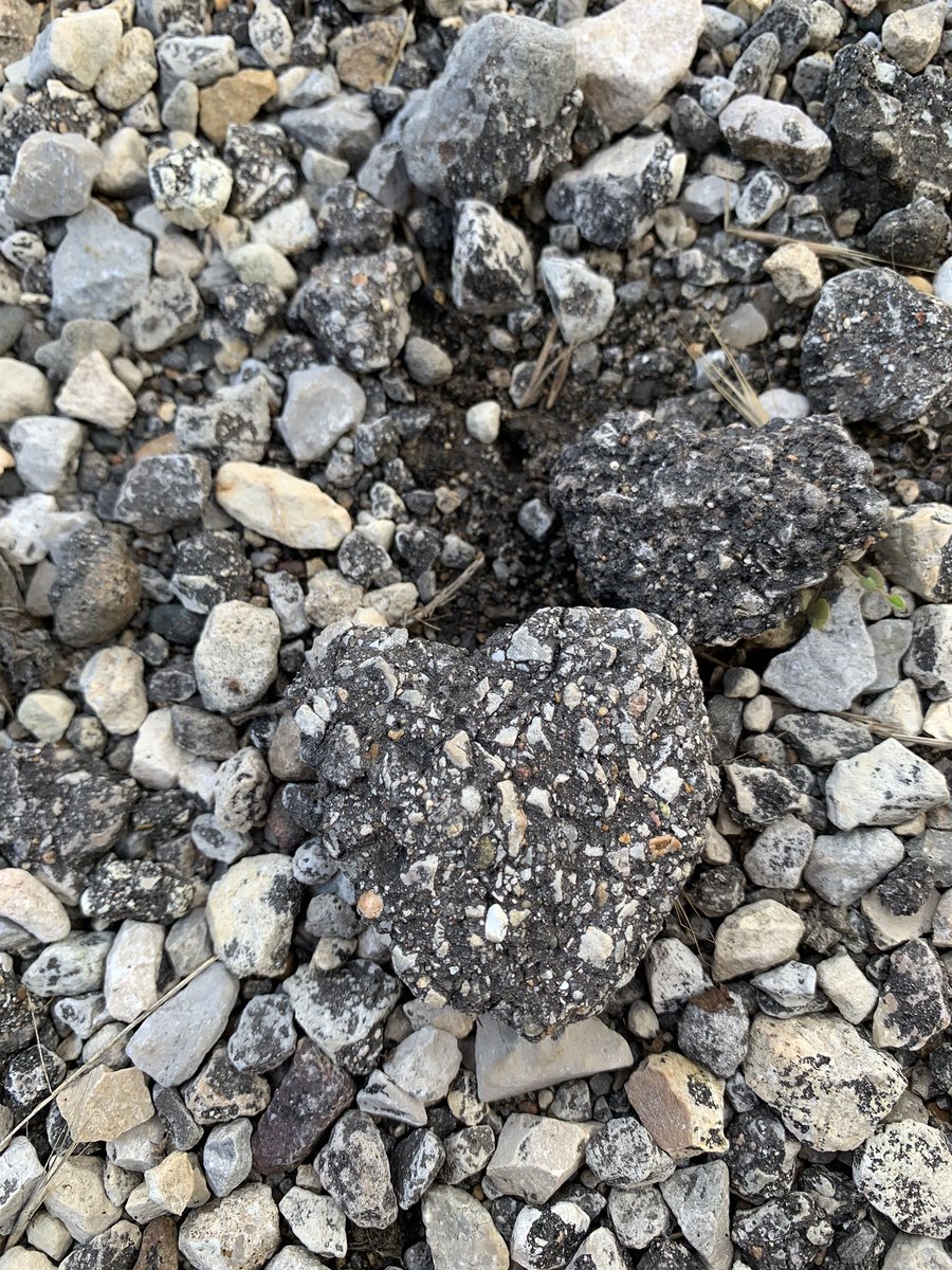 Charli did it again. Hearts in nature.