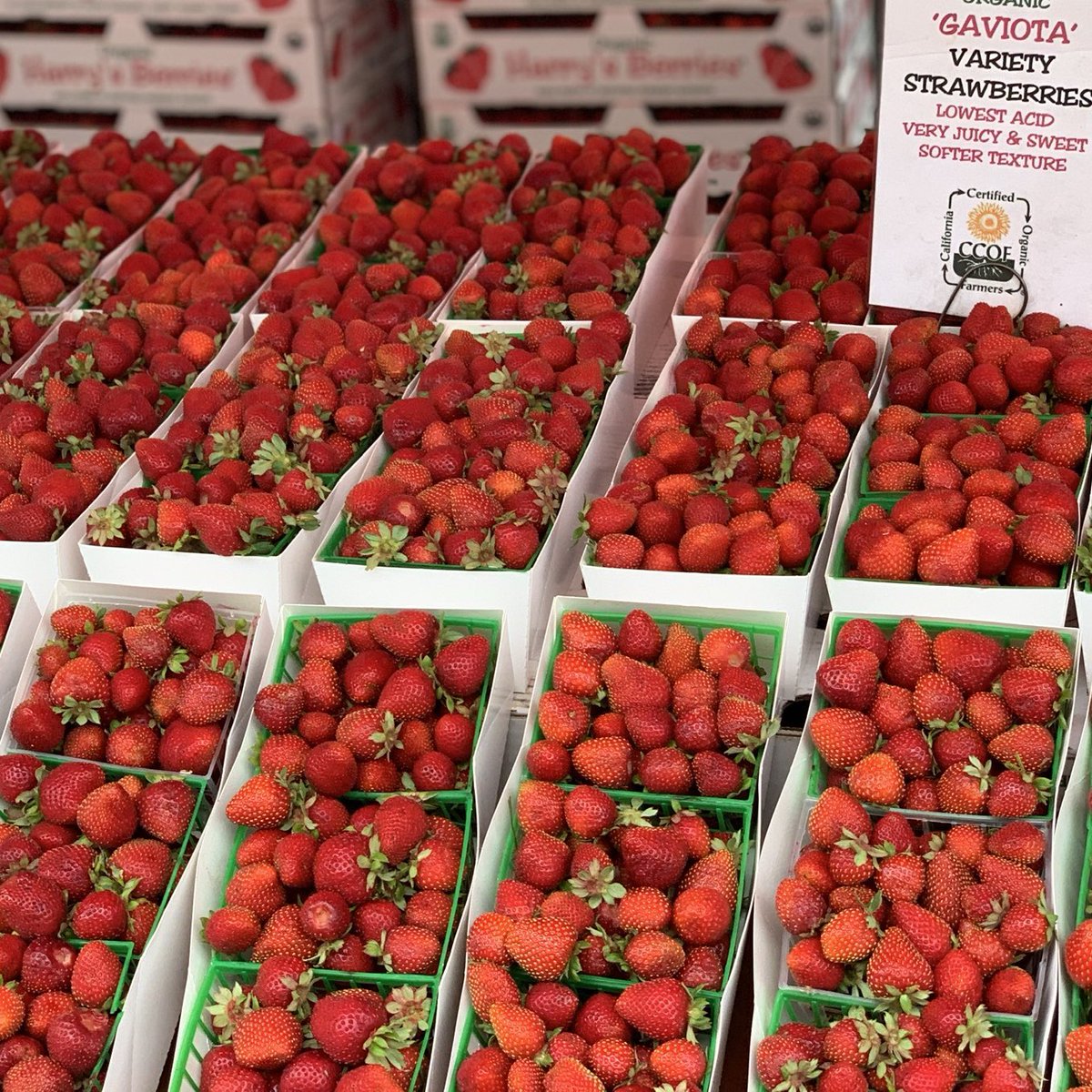 Amanda Freitag tweet media