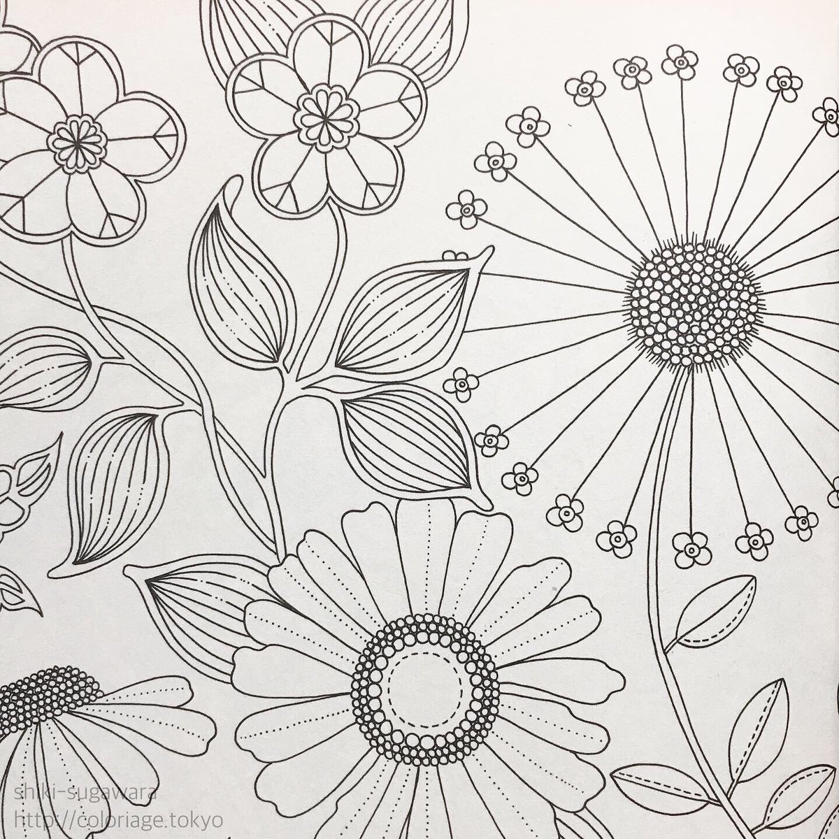 菅原志希 コロリアーティスト On Twitter マツコの知らない世界 とコラボ塗りしたもの 花の形が似ていたから 似てるかな 大人の塗り絵 おとなのぬりえ ひみつの花園 Secretgarden コラボ塗り 背景塗り マツコデラックス 三菱鉛筆 三菱ユニカラー