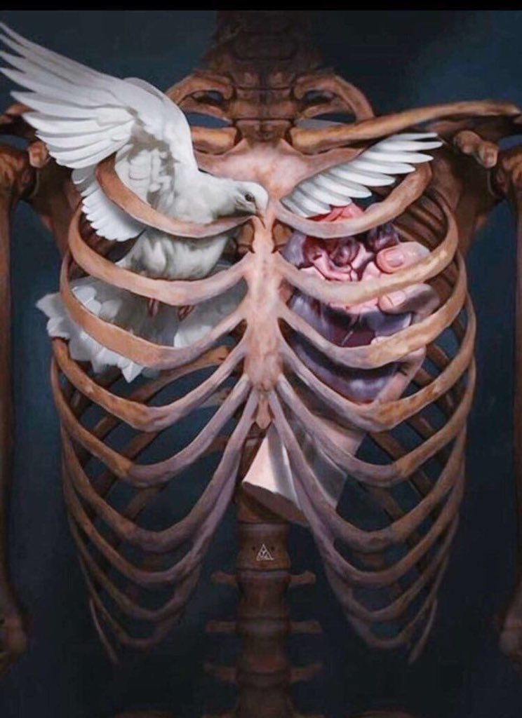 فهد العيبان (@fahadal3eban) on Twitter photo 