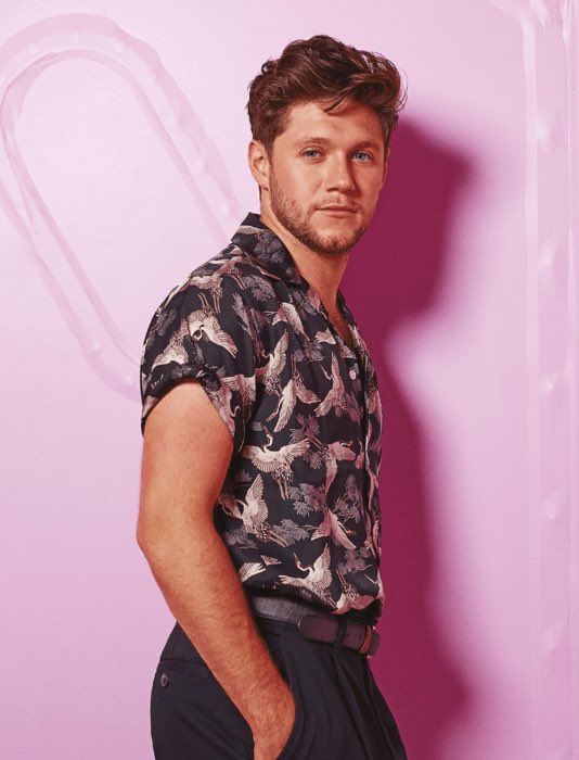 Niall Horan: Niall was forced to perform on severe injuries. He broke his knee and wasn’t allowed to miss any tour dates. That’s why he postponed his knee surgery and risked the ability to walk.
