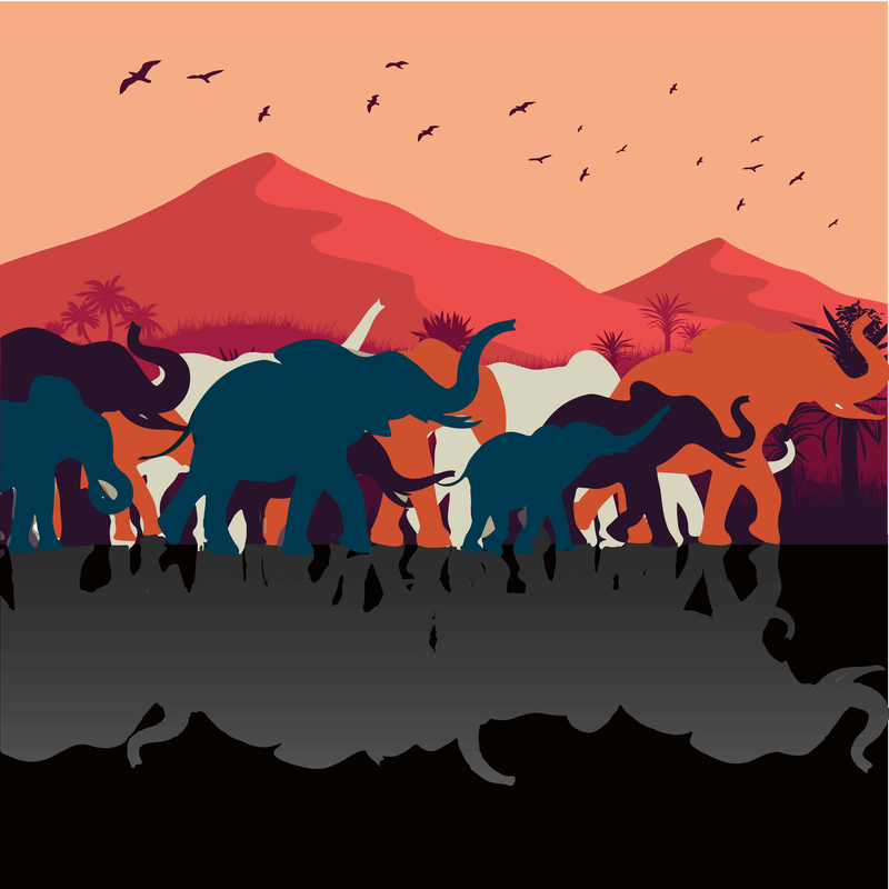 Our newest review is available here: bit.ly/SpadChou. This review is on the Washington Post’s article on elephants response to death. Review by Spadacini and Choueiri. #science #news #reviews #scifeye #elephants #animals