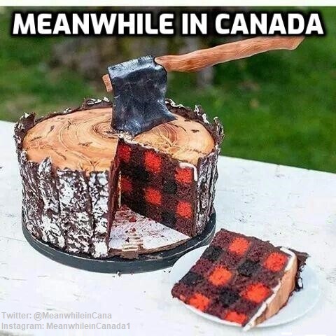 MeanwhileinCana's tweet photo. Canadian birthday cake https://t.co/mY29eN747r