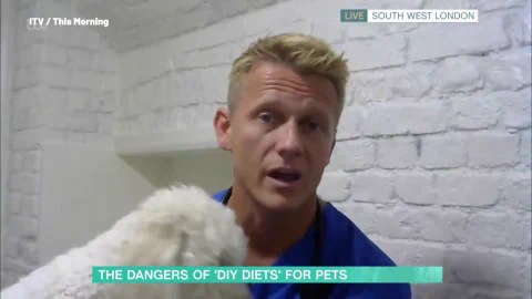 海外のヴィーガンさん、ペットの犬猫にも菜食を強いている模様・・・