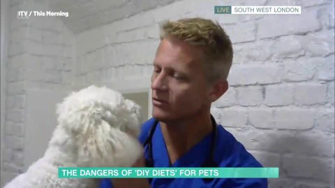 海外のヴィーガンさん、ペットの犬猫にも菜食を強いている模様・・・