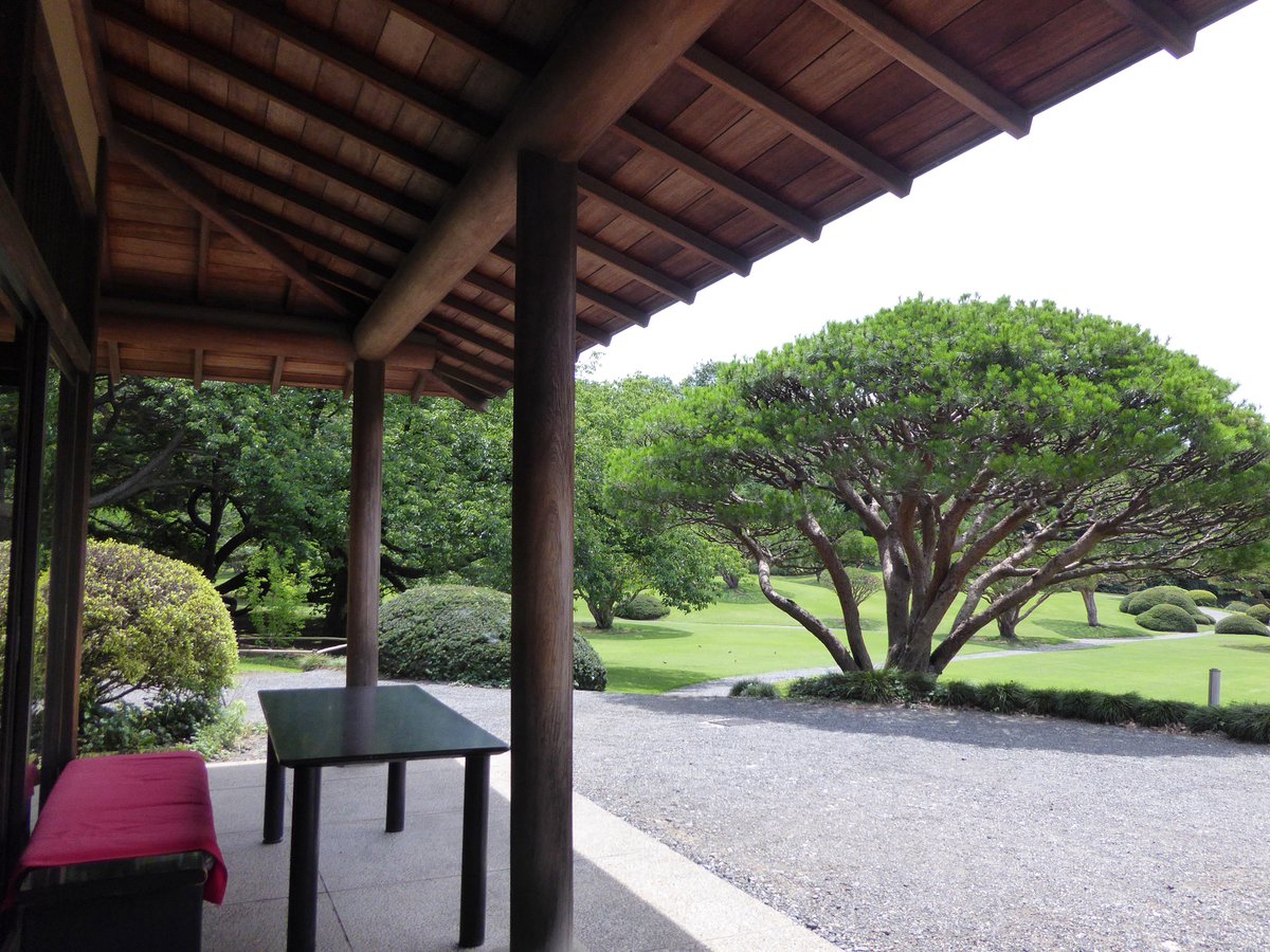 新宿御苑 サービス施設 雨宿りにぴったりのスポット四阿 あずまや 日本庭園には3つの四阿があります ひとたび足を踏み入れるとそこは別世界のよう 翔天亭のテラス席では呈茶も行っています 木々の深い緑と芝生の鮮やかな緑の庭園を眺めながら一服
