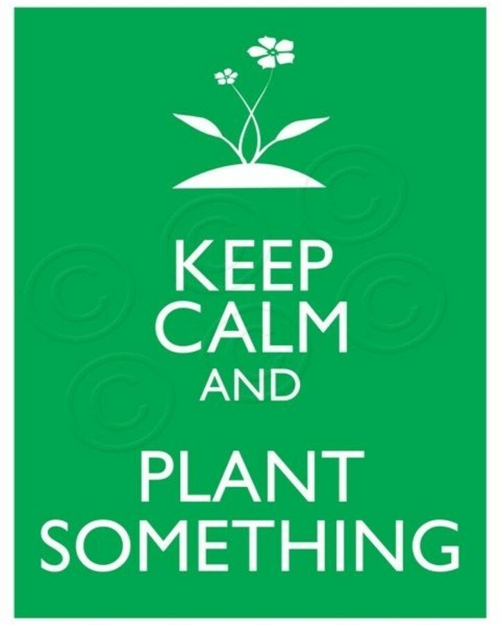 Leafy Green Farms (@LeafyGreenFarms) / Posts / X