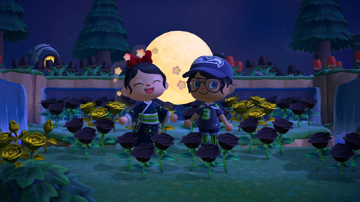 arlahna's tweet photo. #gohawks #seahawks #AnimalCrossing #ACNH #NintendoSwitch https://t.co/Wq0fUGAsqK