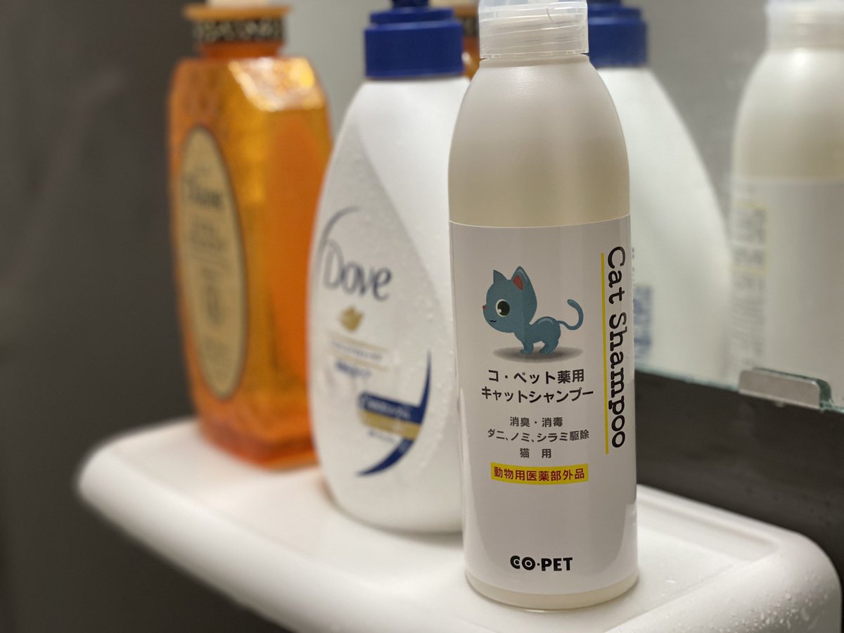 スナネコの赤ちゃん Twitter Search