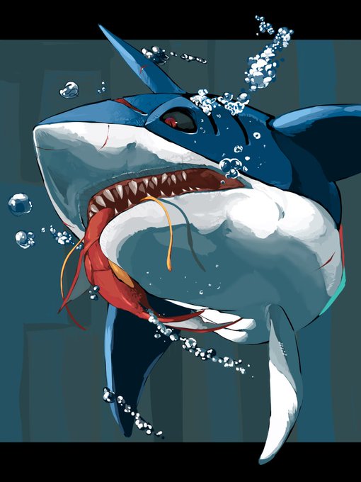 「shark」 illustration images(Popular)