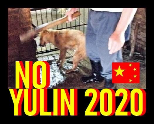 @antonioguterres 
@DrTedros 
@FAODG 
@MFA_China 
@realxijinping69 
HOW DARE YOU destroy my summer and the rest of normal human beings on the planet 🌎 
We have nightmares about what those #dogs #cats go through at #Yulin and risks of more viruses #covid19 
STOP IT NOW 
#ENDYULIN