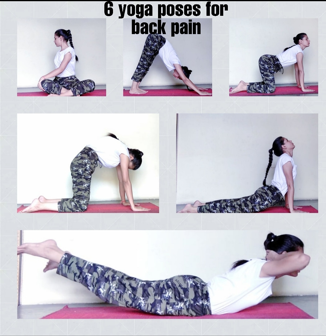 lavikasindhu's tweet photo. 6 yoga poses for back pain.

To join my live online yoga classes, just drop a message.
#yoga #yogaposes #yogaclasses #liveonlineyogaclasses #onlineyogaclasses #yogaforbackpain #fitindia #yogatrainer #yogateacher #yogatherapist #pureyoga https://t.co/4FxDilBsgB
