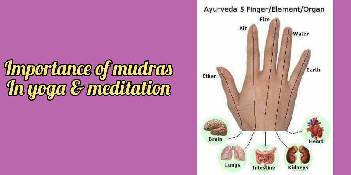 AnjynaSsharma's tweet photo. #Mudras #yoga
#meditation
#Ayurveda
#fiveelement https://t.co/MPUBHCwJ27