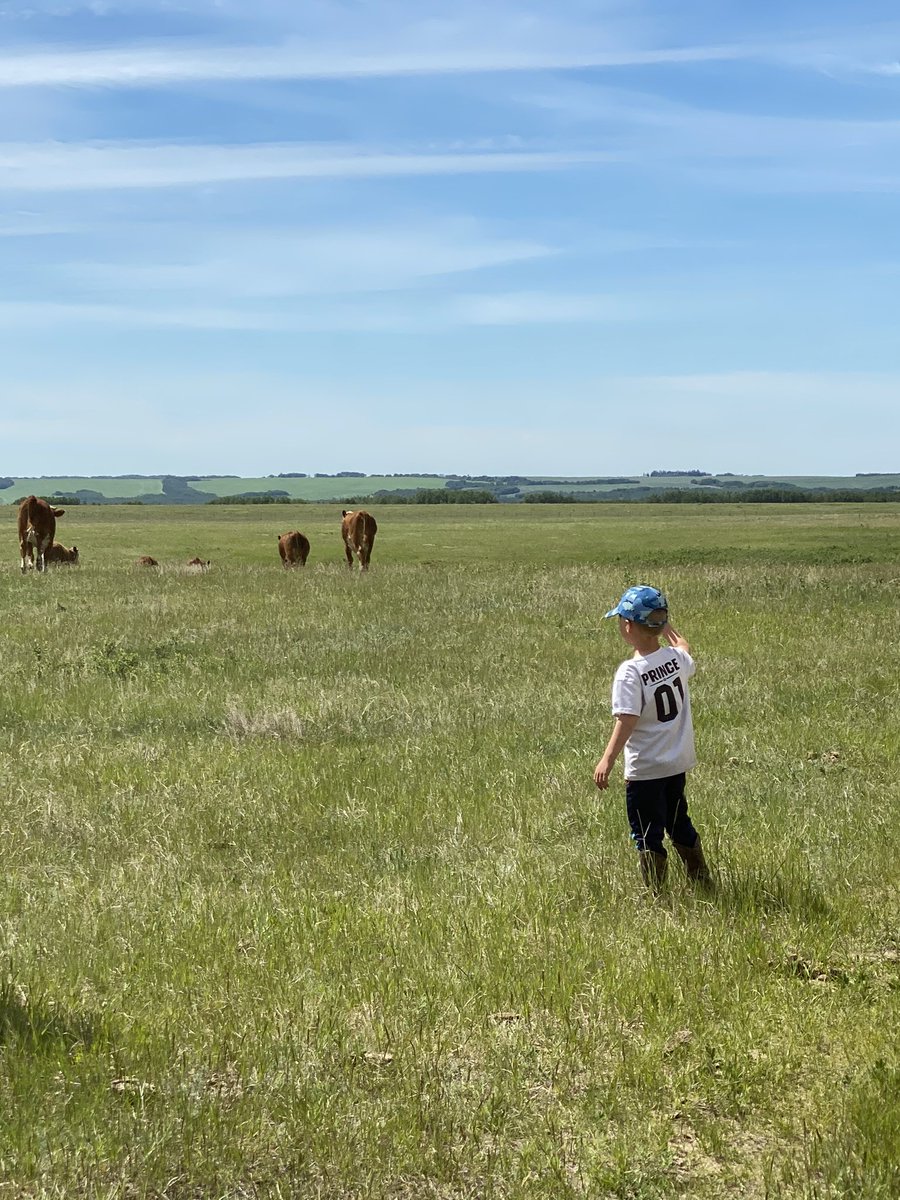 CR_Bar_Ranching tweet media